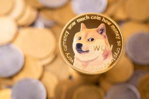 Dogecoin price