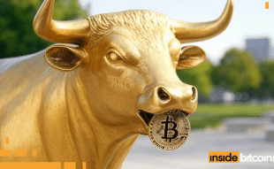 BTC Bull Token
