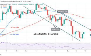 Bitcoin (BTC) Price Prediction: BTC/USD in a Tight Range between $47k and $50k as Further Selling Is Imminent