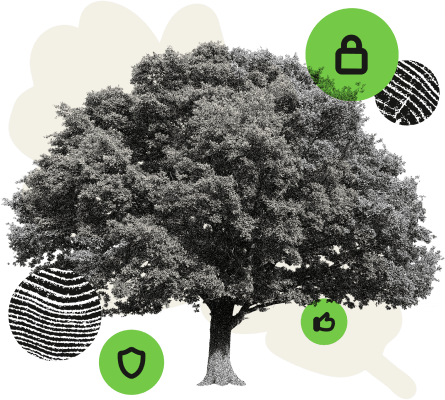 Security & Protection