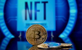 Bitcoin NFT Collection