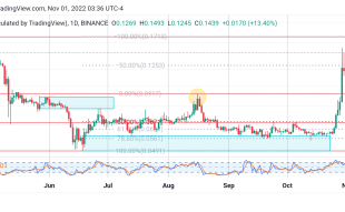 4 Best Cryptos to Buy Now November 1: XCN, DOGE, TAMA, and IMPT