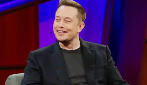 Elon musk bitcoin