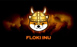 Floki price