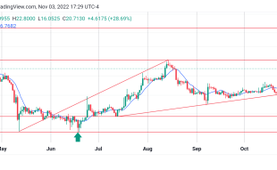 4 Best Cryptos to Buy Now, November 4: FTM, OKB, TAMA and IMPT