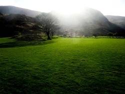 IrelandField