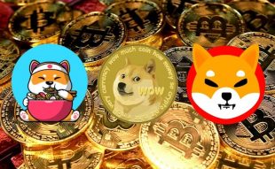 Meme coins.jpg