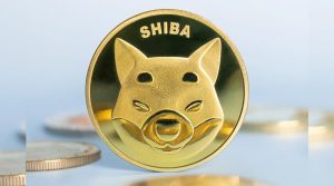 Shiba Inu