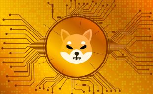 Shiba Inu