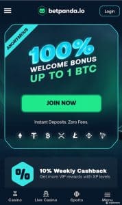 betpanda casino welcome bonus