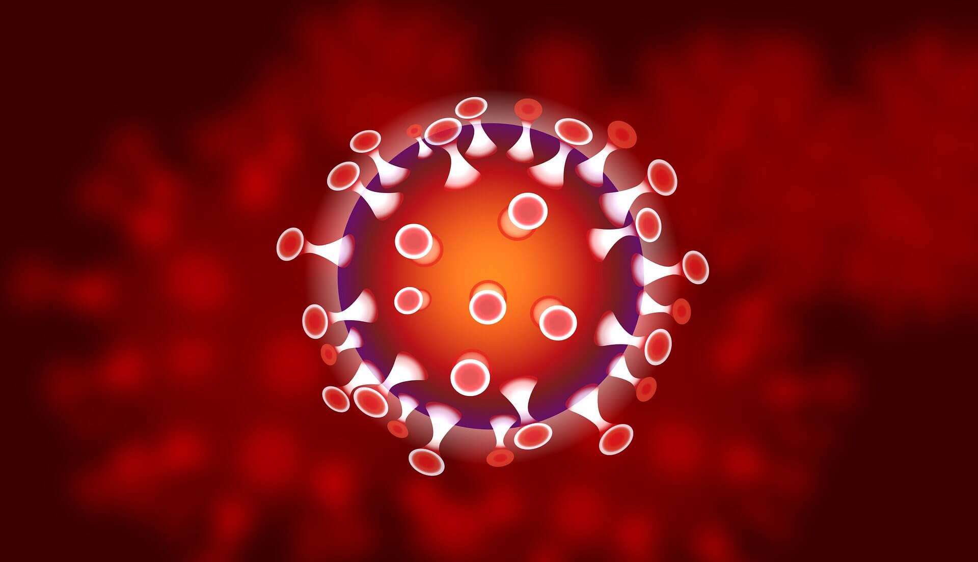 coronavirus