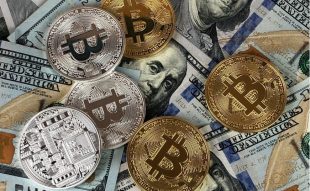 Crypto Markets Best Year