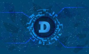XDoge