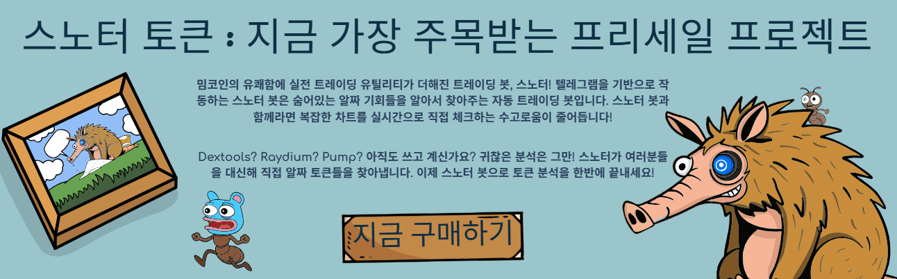 스노터 토큰
