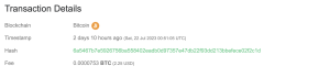 Bitcoin transaction details