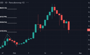 top low market cap coins to watch